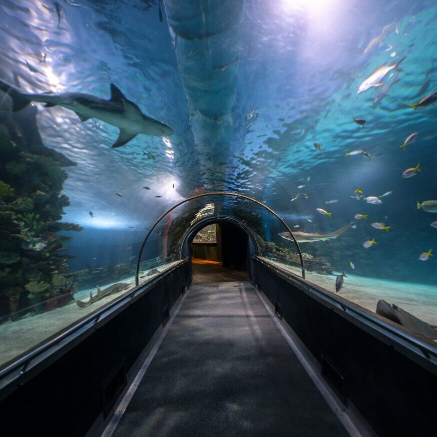 Hallway at large aquarium Aquariums