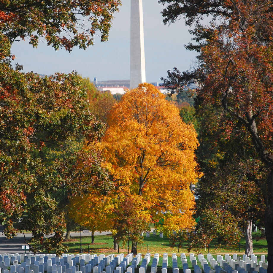 Arlington,National,Cemetery,With,Washington,National,Monument,2 Arlington National Cemetery